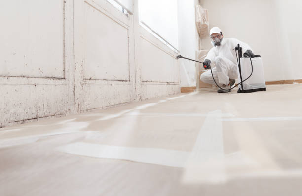 24/7 Emergency Crawl Space Mold Removal experts in Lock Haven, PA