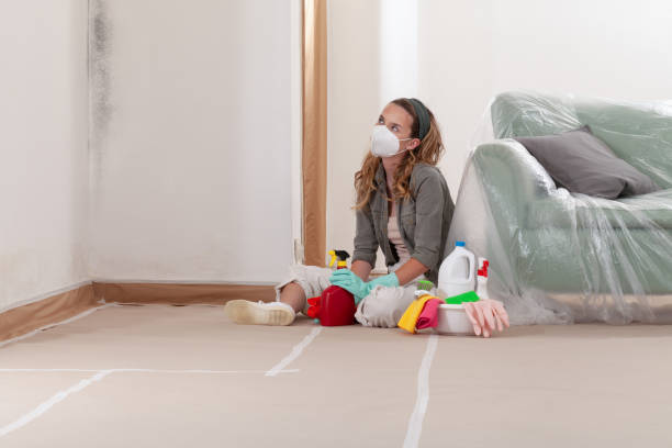 Trusted Crawl Space Mold Removal service in Lock Haven, PA - Cheap Mold Removal